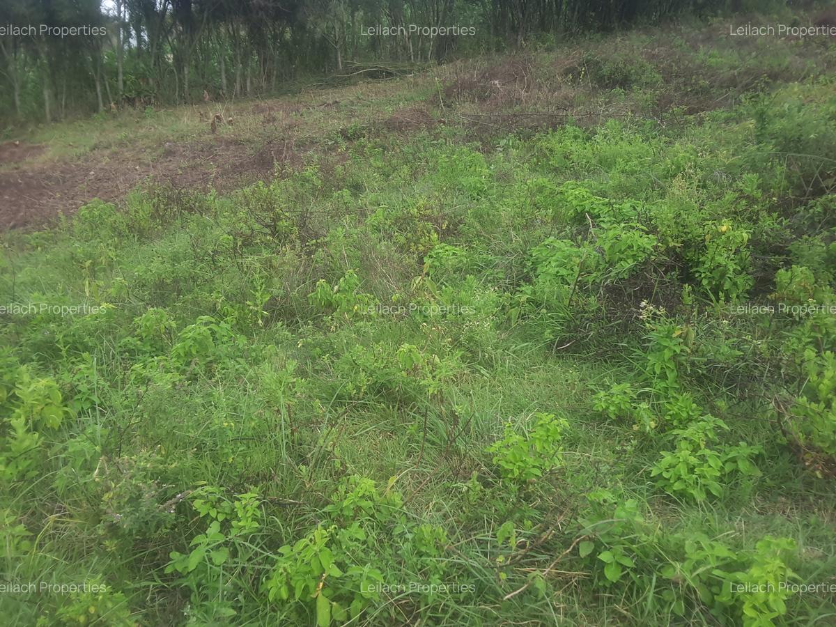 0.113 ac Land in Ngong - 11