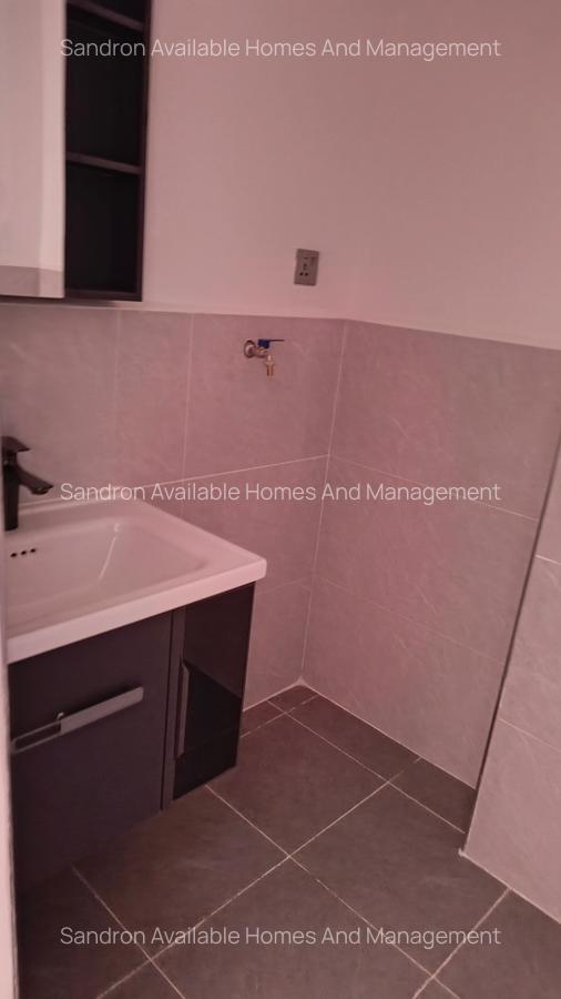 1 Bed Apartment with En Suite in Westlands Area - 7