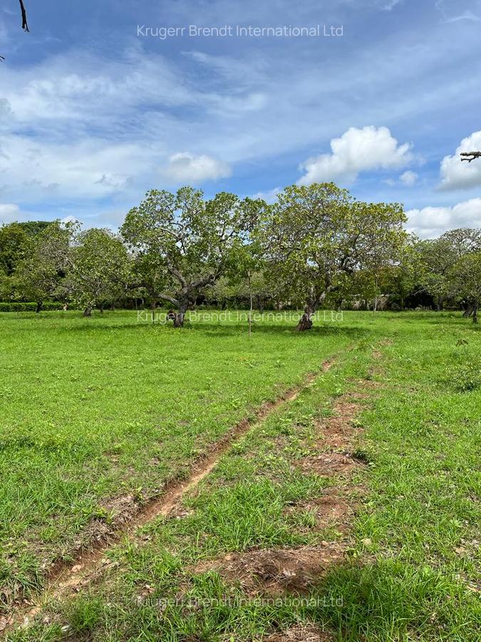Land in Kilifi - 2