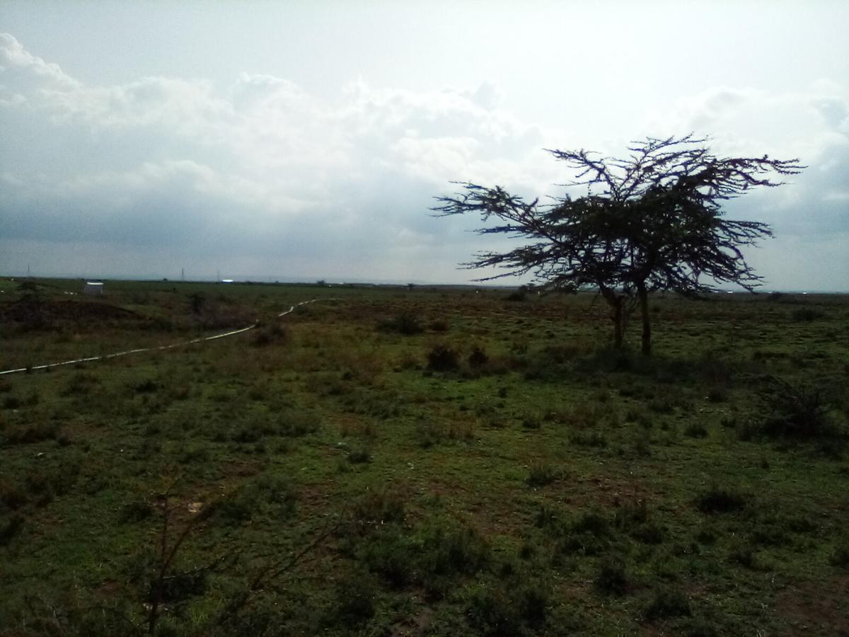 Land at Nanyuki-Rumuruti Rd - 17