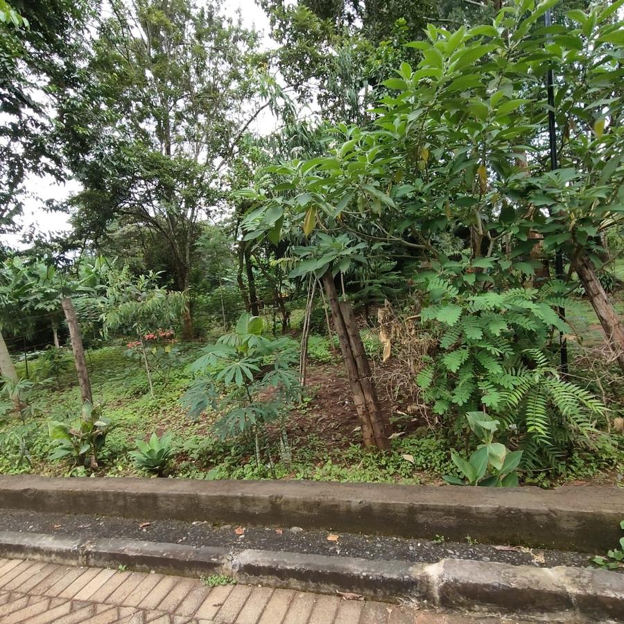 0.5 ac Land at Nandi Road - 3