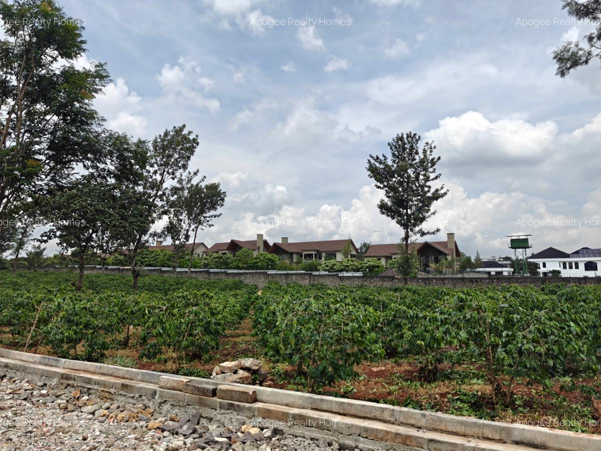 0.5 ac Land at Runda - 9