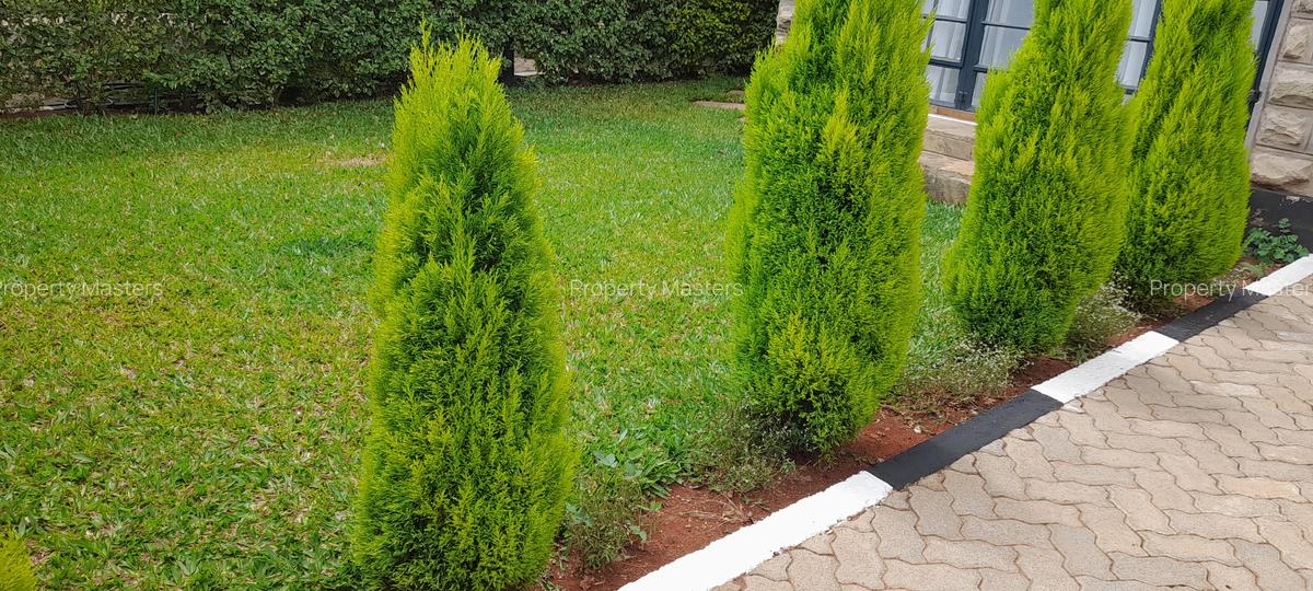 4 Bed Villa with En Suite at Ruiru Githunguri Road - 7