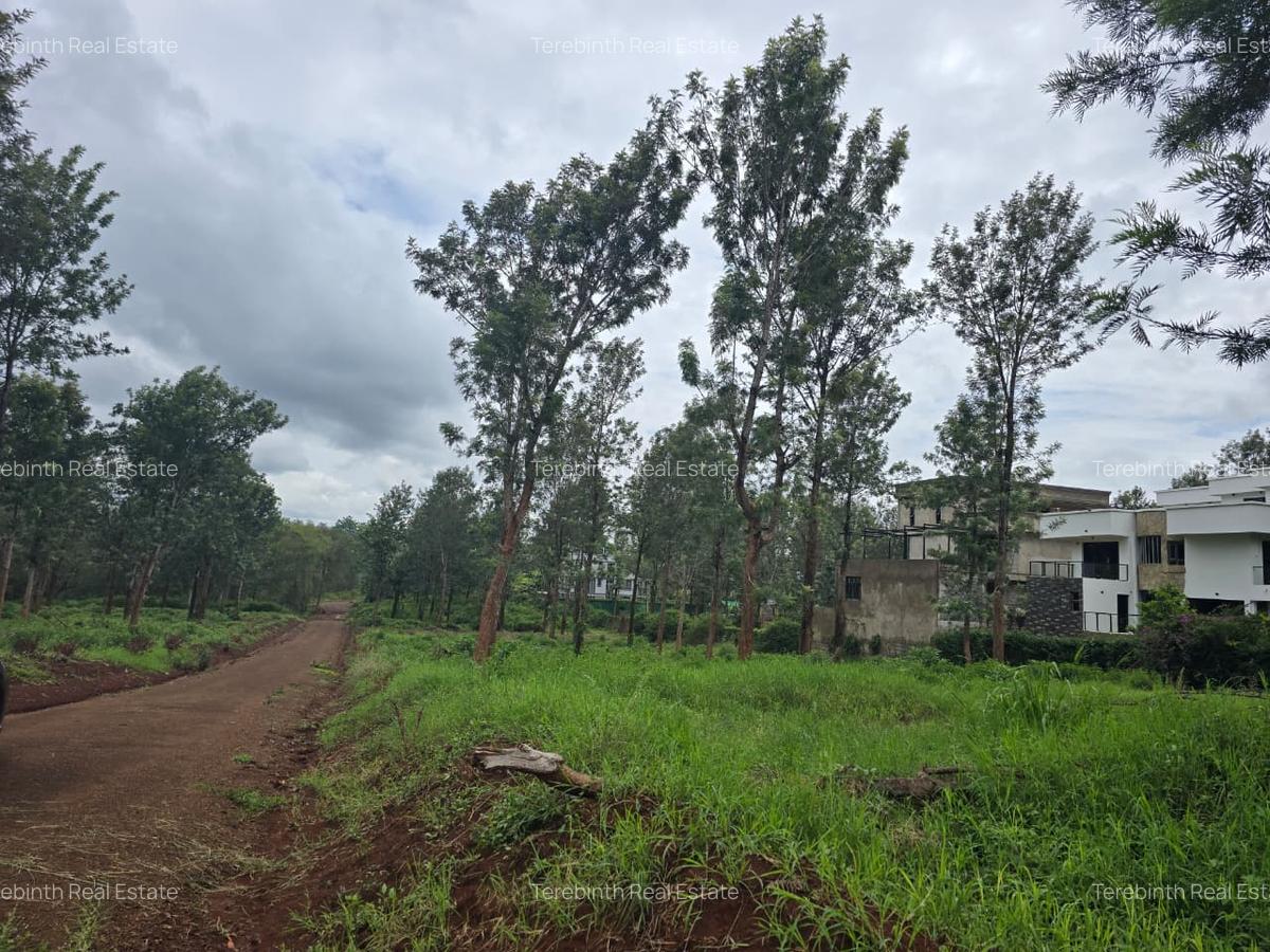500 m² Land at Ruiru- Kwamaiko Road - 1