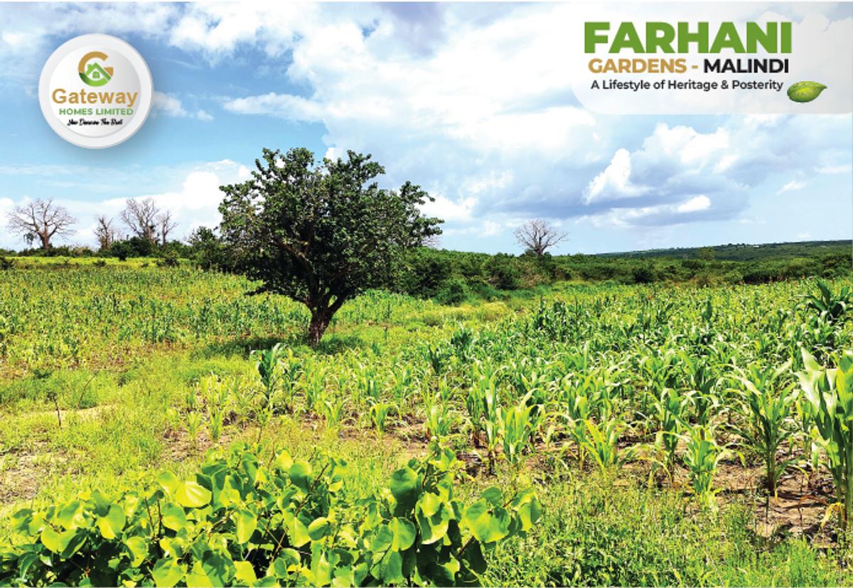 1 ac Residential Land in Malindi - 9