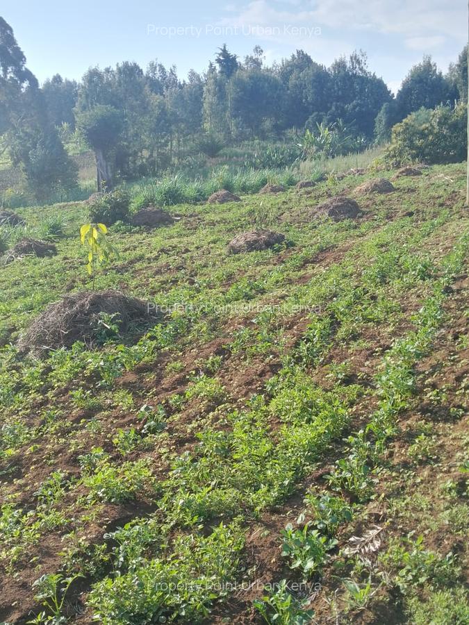 2.5 ac Land at Village (Mbiriri Muthaiga) - 9