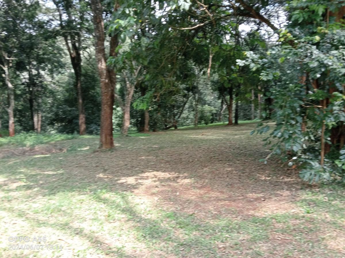 2.00 ac Land in Runda - 4