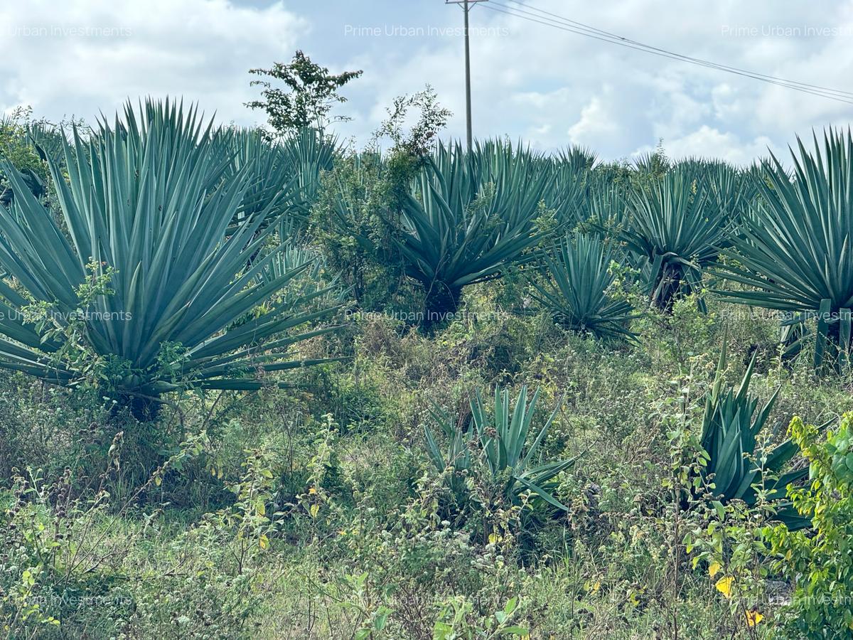 4,046.86 m² Land in Vipingo - 6