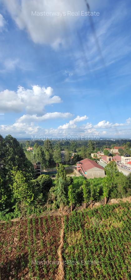 1 Bed Apartment with En Suite at 87 Mall - 6