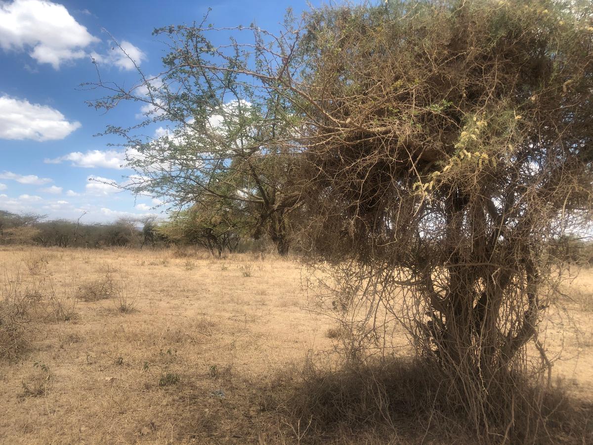 Land in Kajiado - 2