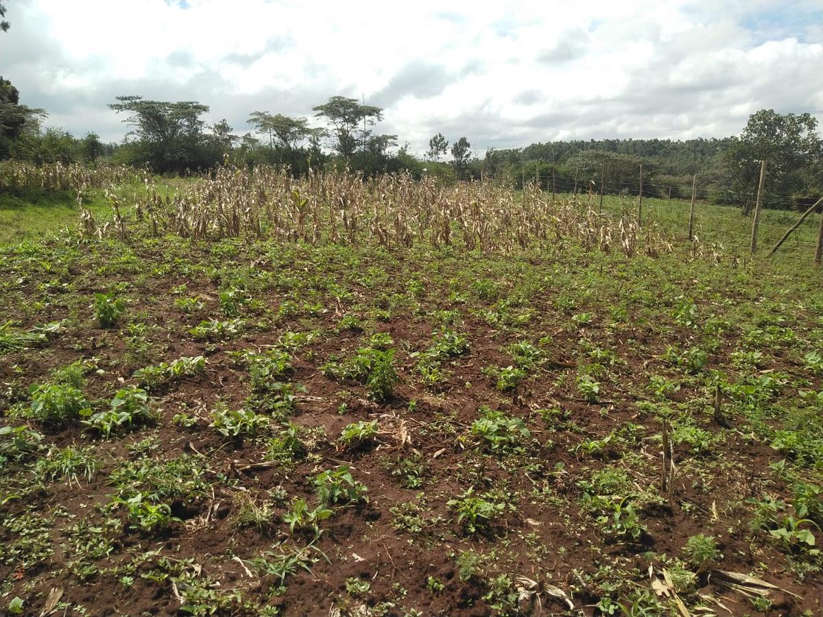 0.2 ha Residential Land in Ngong - 9