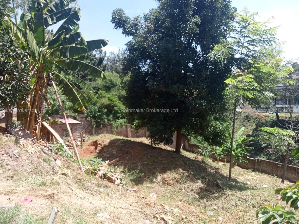 0.8 ac Land at Kitisuru - 4