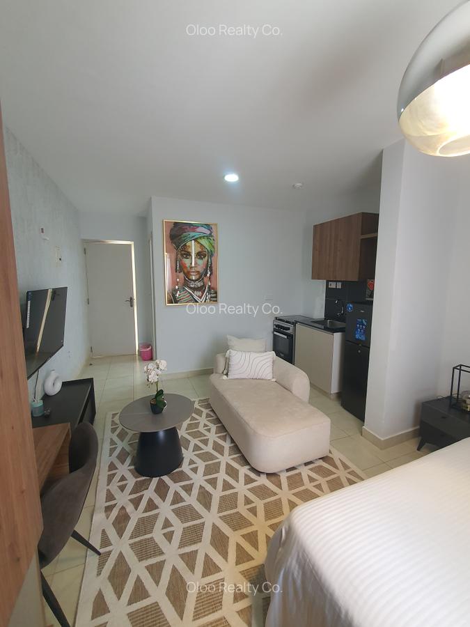 Studio Apartment with Swimming Pool at Naivasha Road - 3