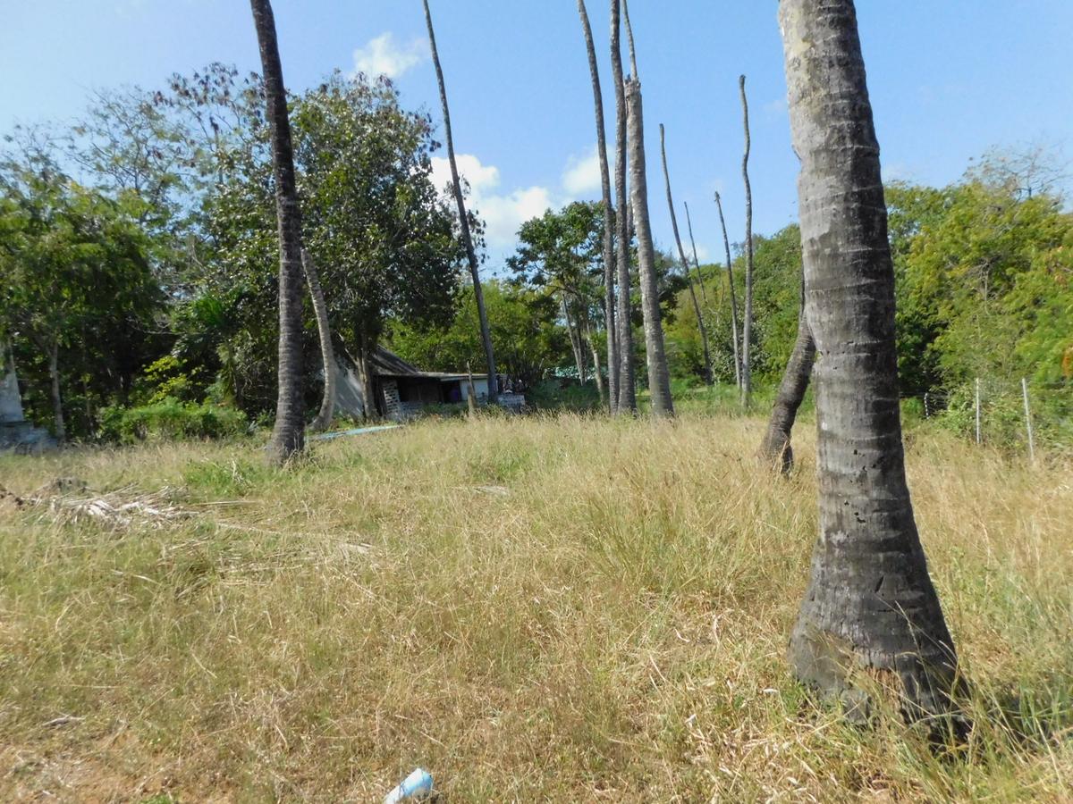 5 ac Land at Mtwapa - 12