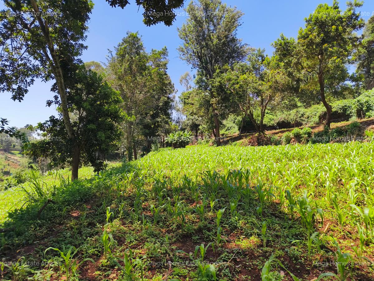 Land in Kitisuru - 4