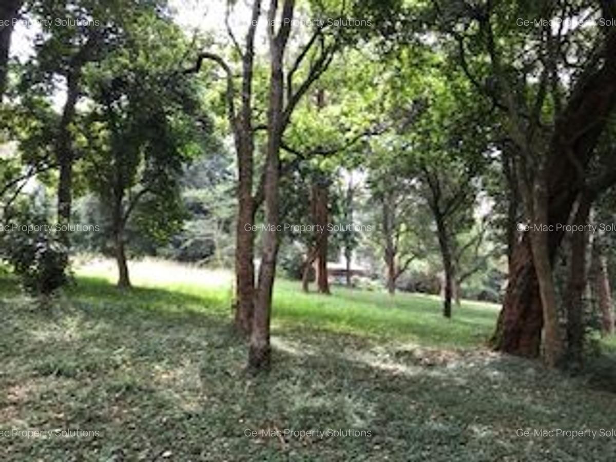 4 ac Residential Land in Kiambu Road - 1