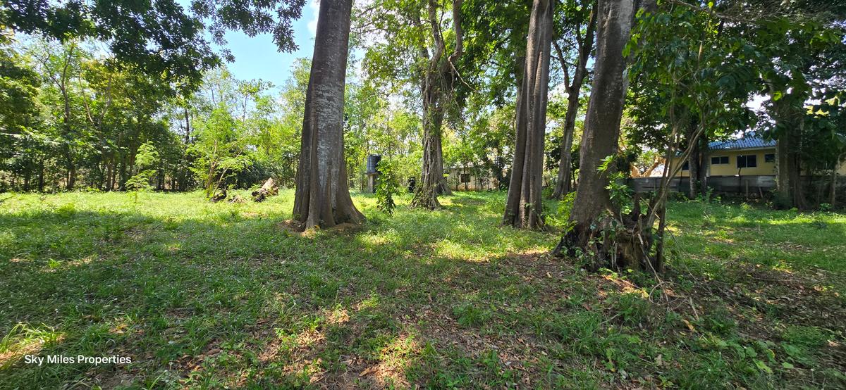 2 ac Land at Mtwapa - 8