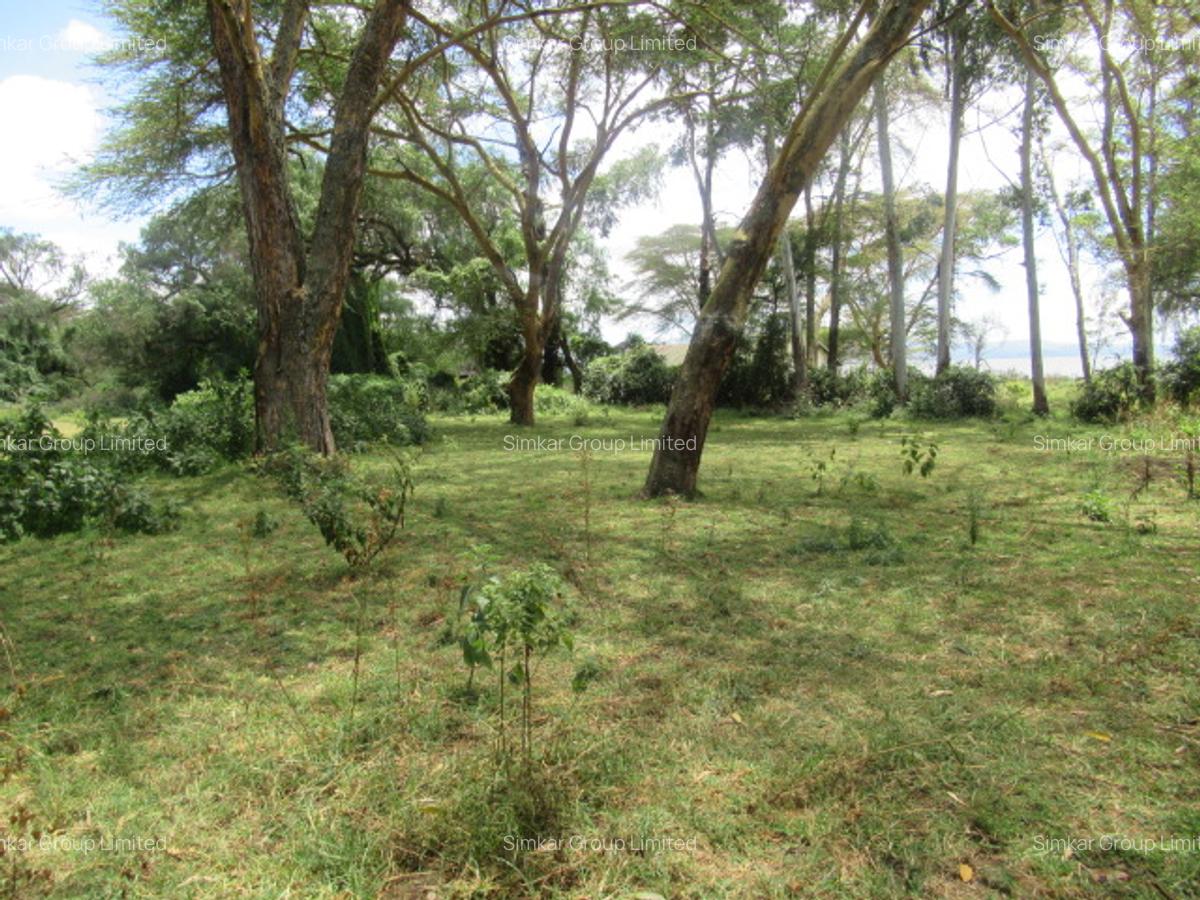 25 ac Land at Moi S Lake Rd - 7