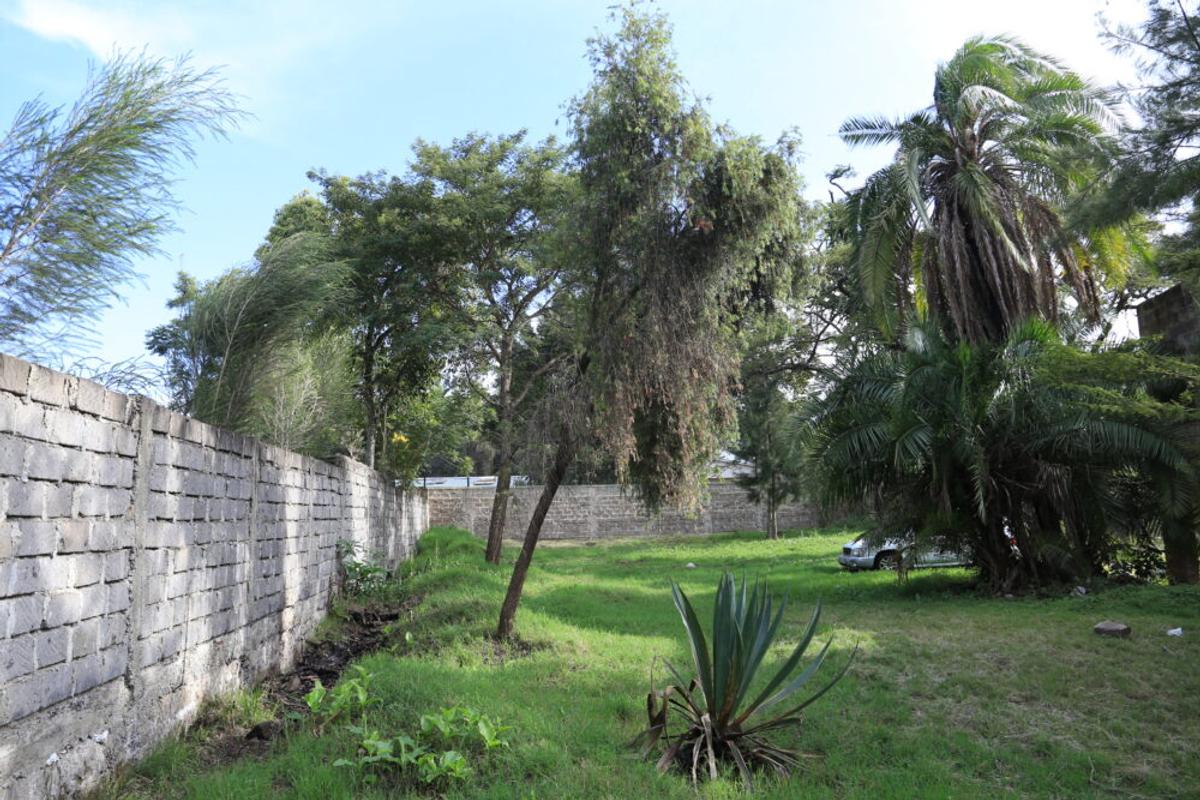 Residential Land in Lavington - 6