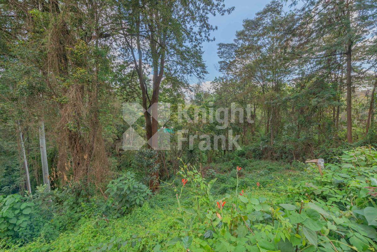 0.5 ac Land at Kitisuru Road - 1