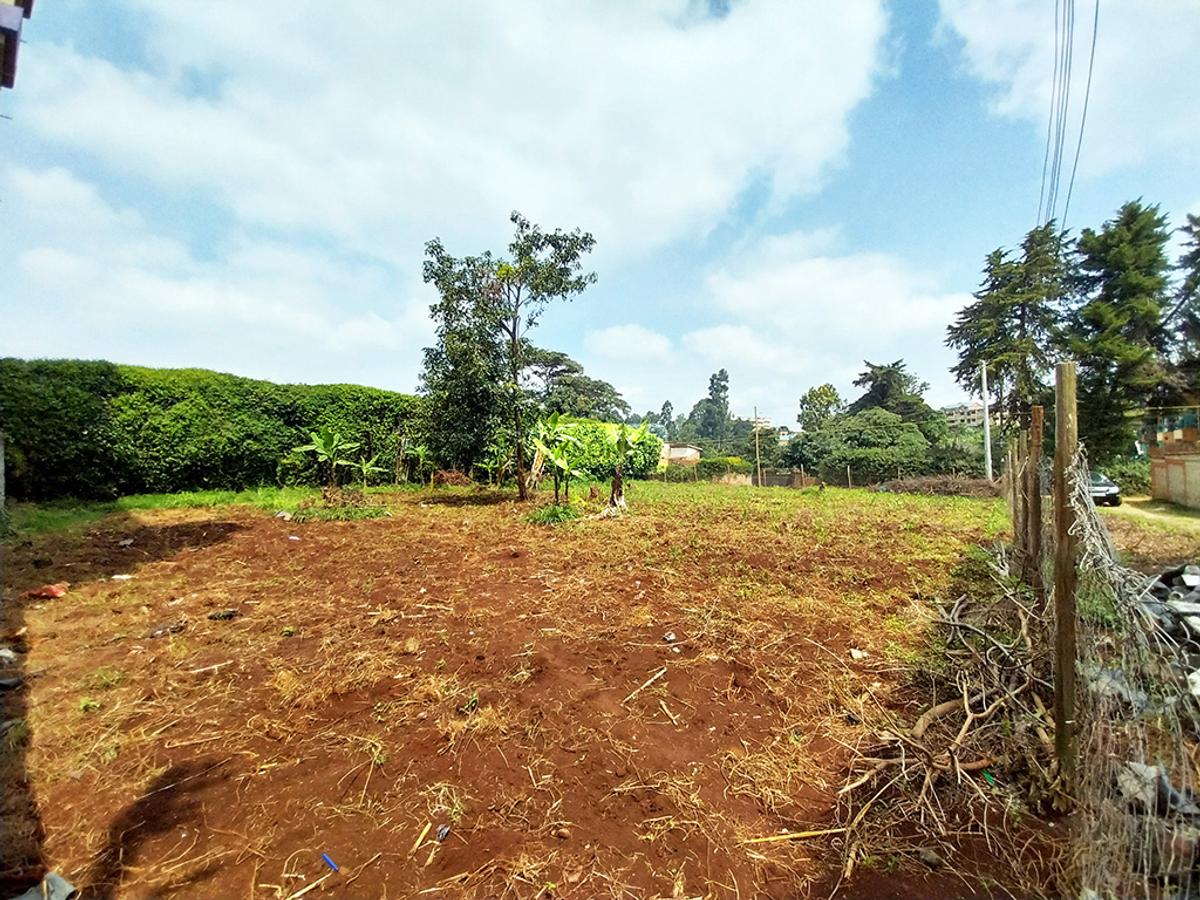 0.25 ac Land in Kinoo - 3