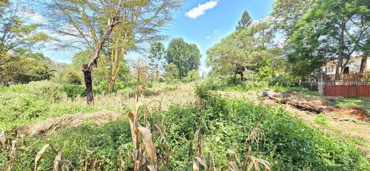 Residential Land in Spring Valley - 3