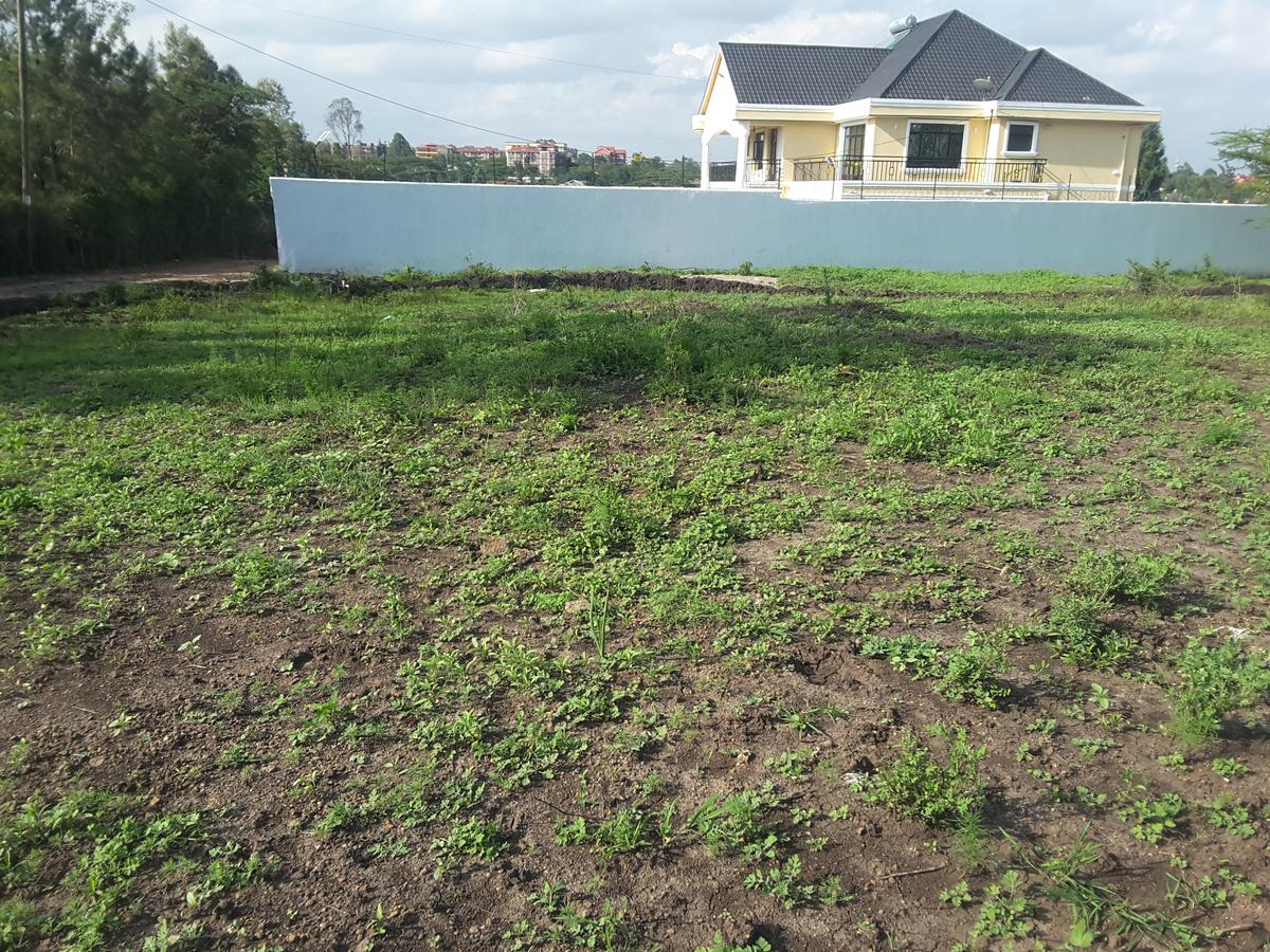 0.25 ac Residential Land in Ongata Rongai - 2