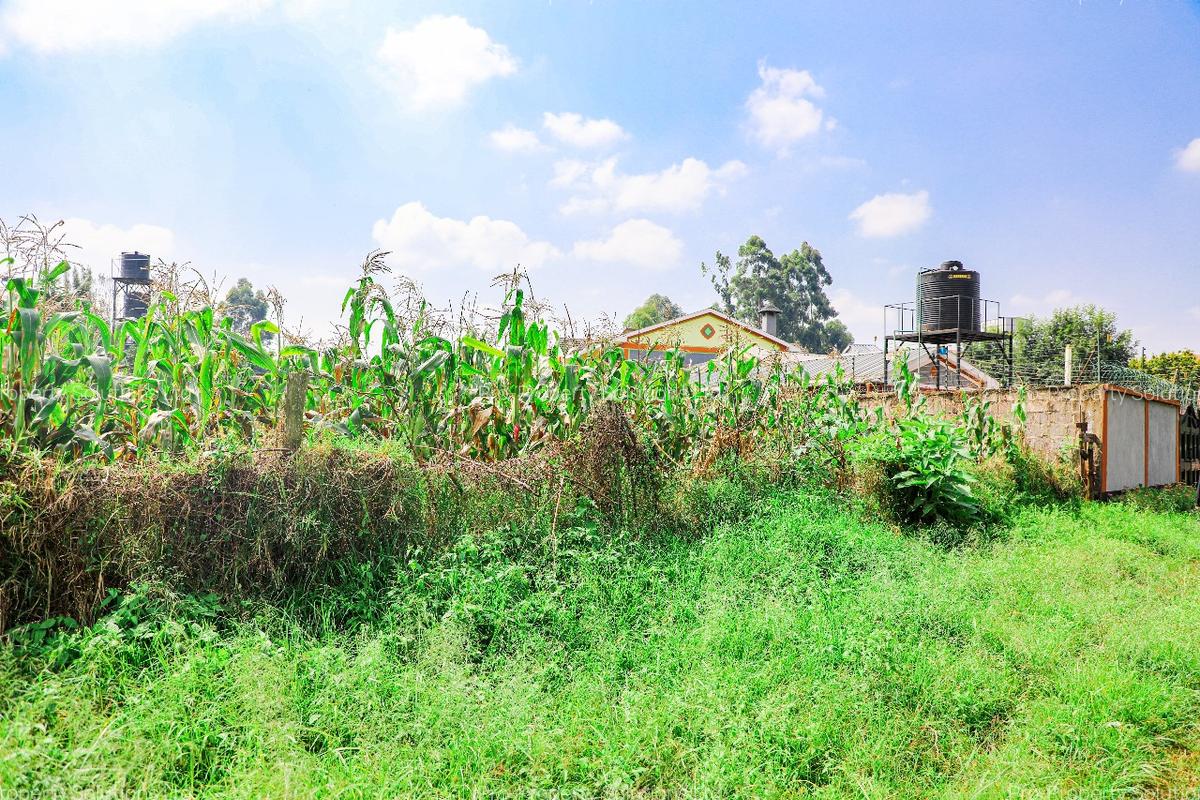 0.1 ha Commercial Land at Sigona - 7