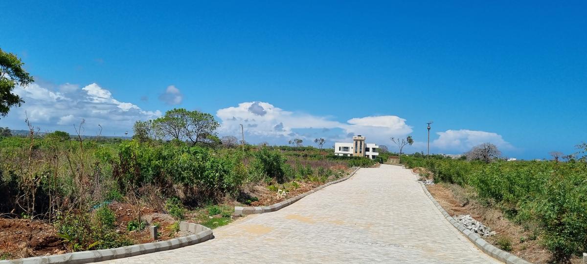 Land at Vipingo - 10