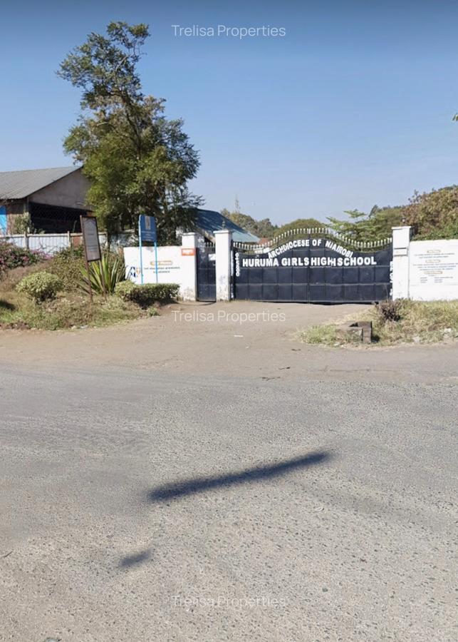 1 ac Land at Nyasa Road - 5