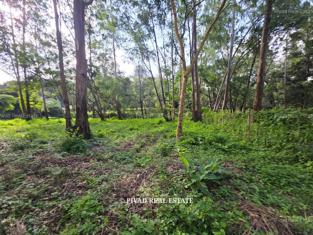 0.5 ac Land in Lake View - 1