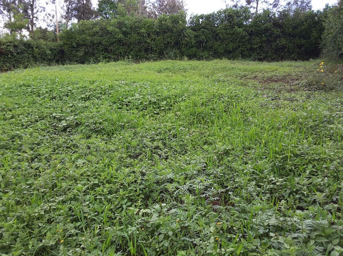 0.1 ha Residential Land in Ngong - 3