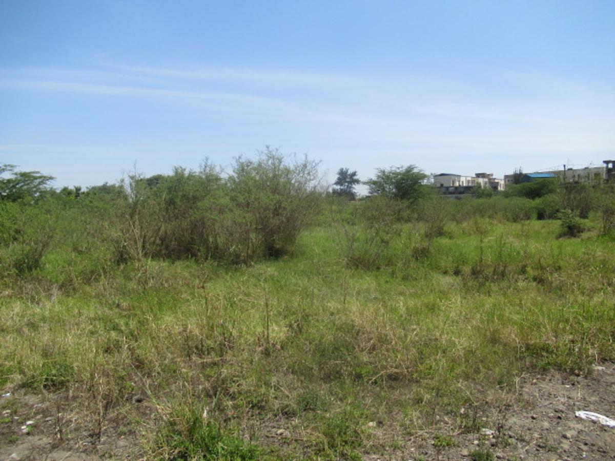 Land at Nyasa Rd - 12