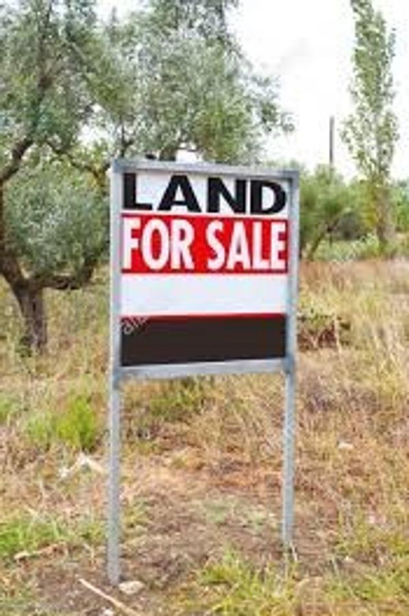 5 ac Land at Thika Road - 1