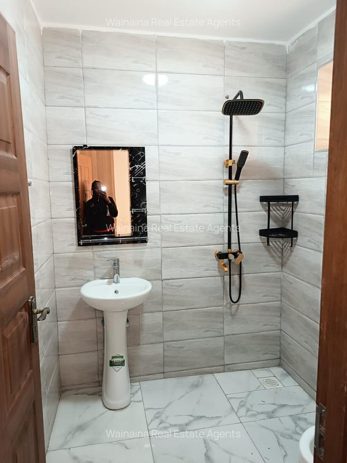 3 Bed Apartment with En Suite at Thindigua Near Police Post - 16