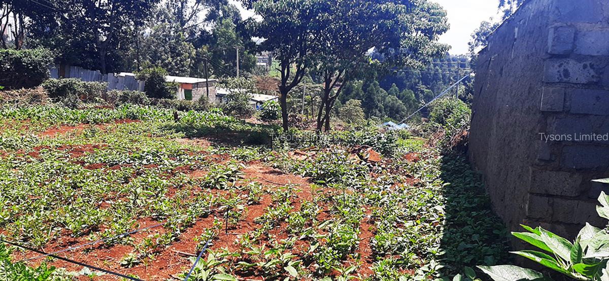 Land in Ruaka - 3