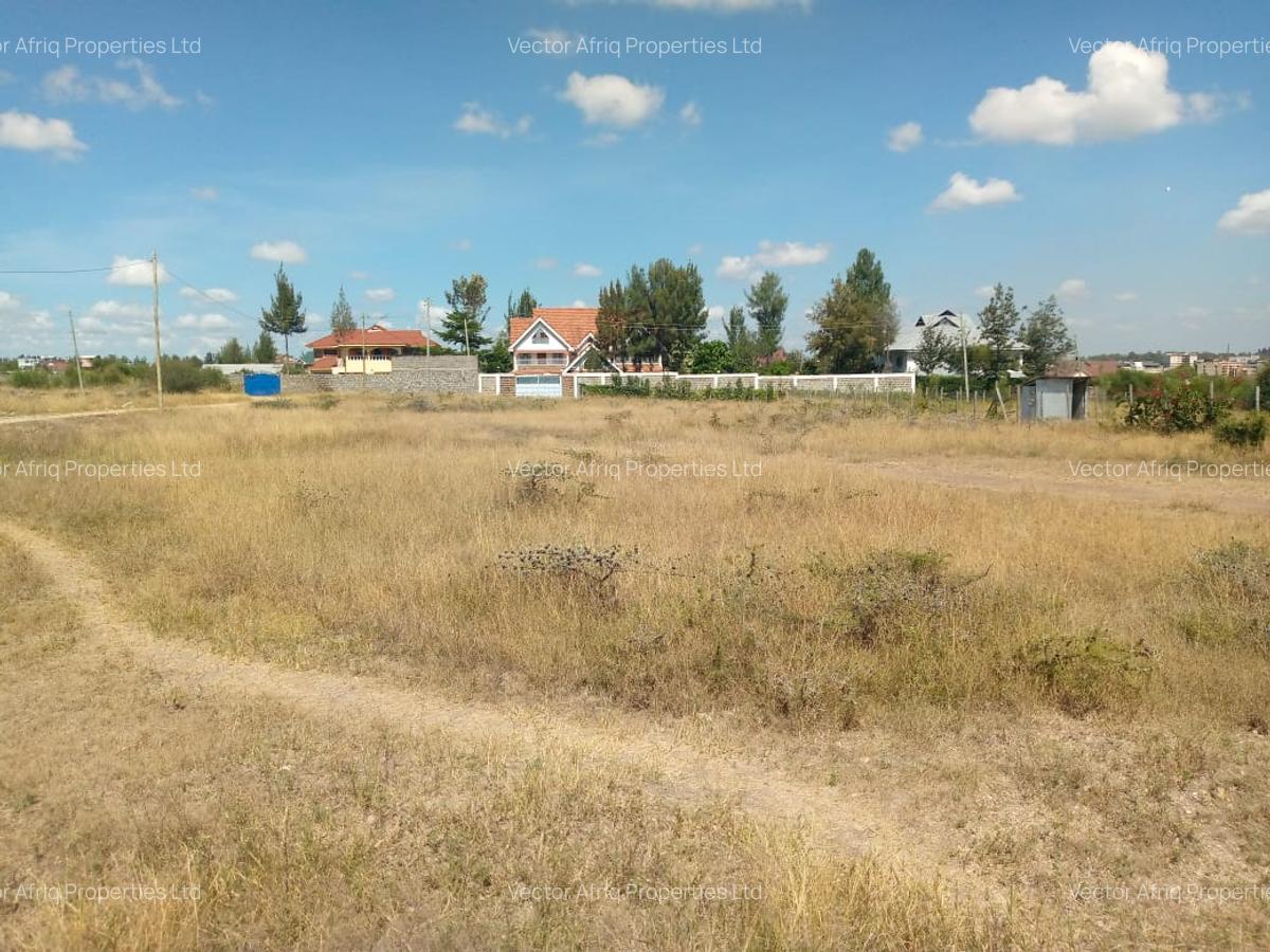 Commercial Land at Chuna - 2