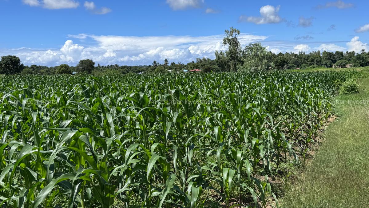 464 m² Land at Mavueni - 6