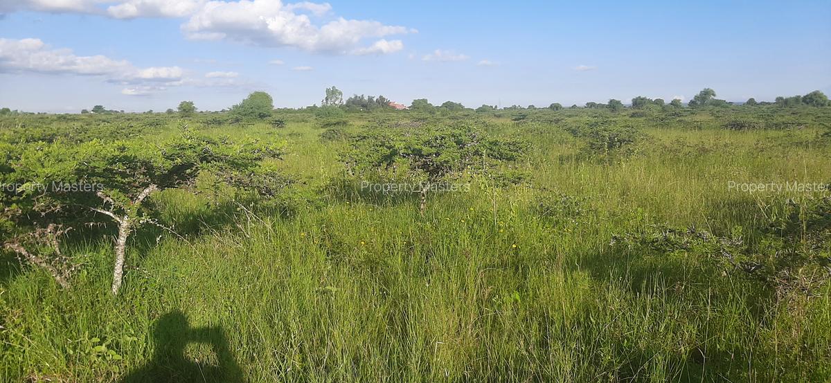 Residential Land at Leshaoo - 9