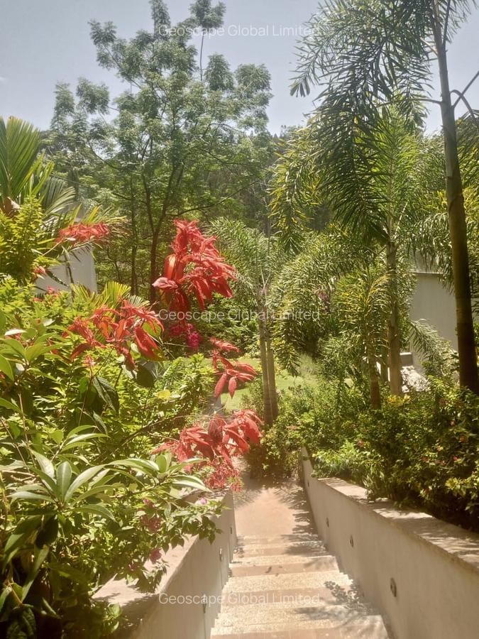 Furnished 2 Bed Apartment with En Suite in Gigiri - 5