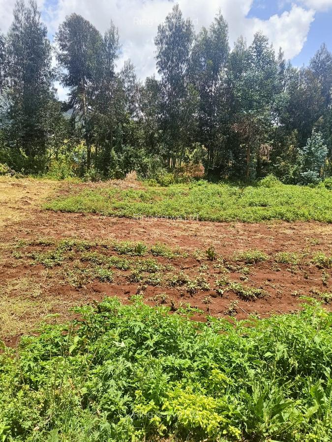 Land at Kibirichia - 15