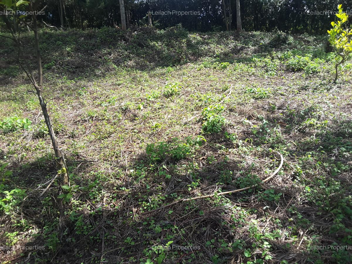 0.25 ac Residential Land in Ngong - 6