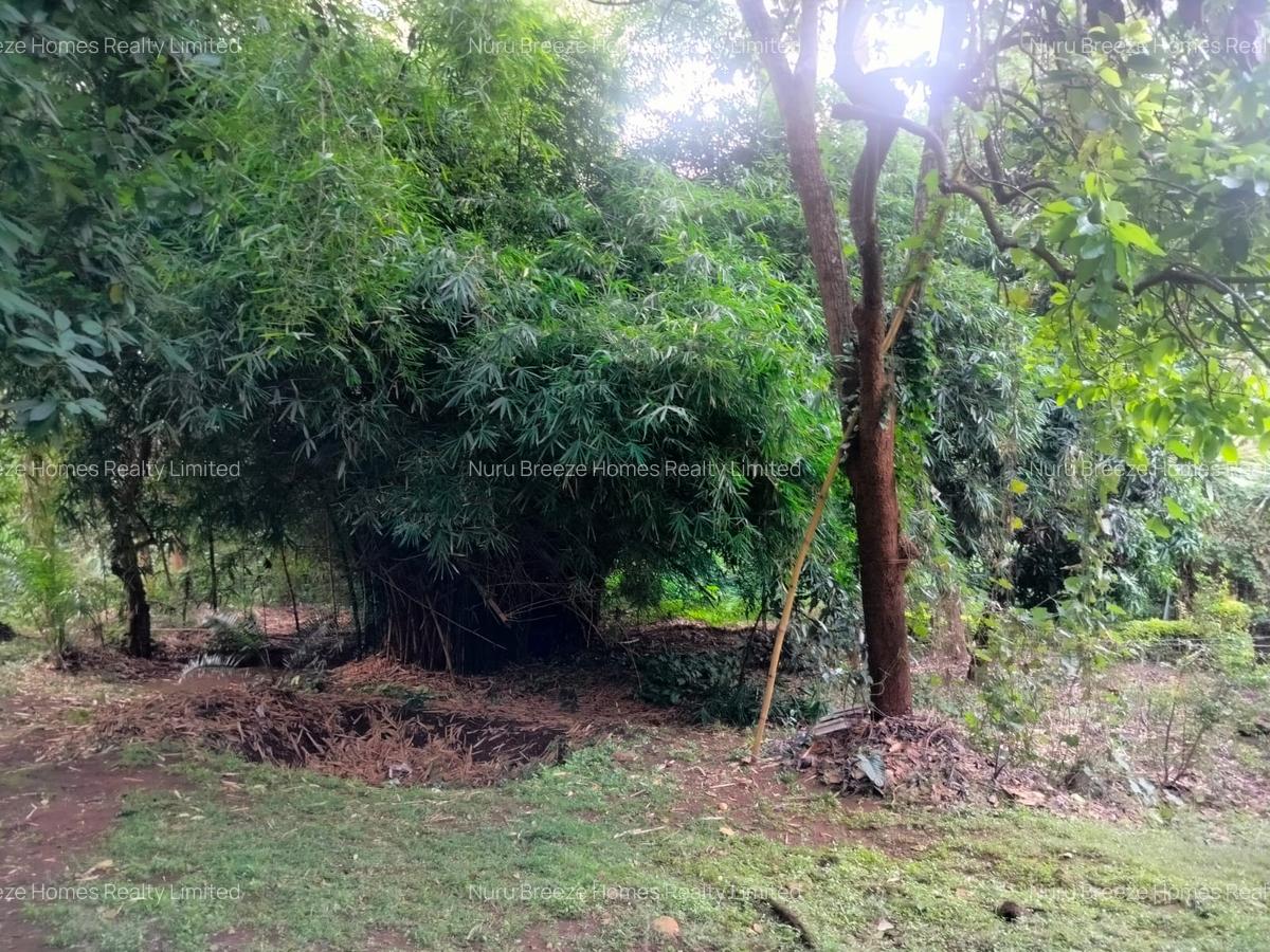 0.25 ac Land in Rhapta Road - 2
