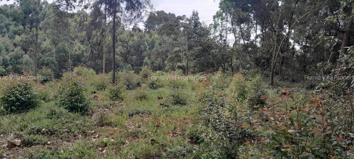 Residential Land at Kabuku Near St Paul University - 19