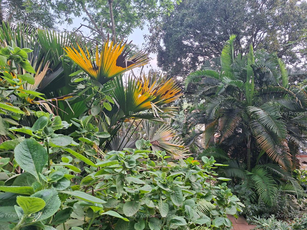 2 Bed Apartment with En Suite at Off Gigiri Rd - 15