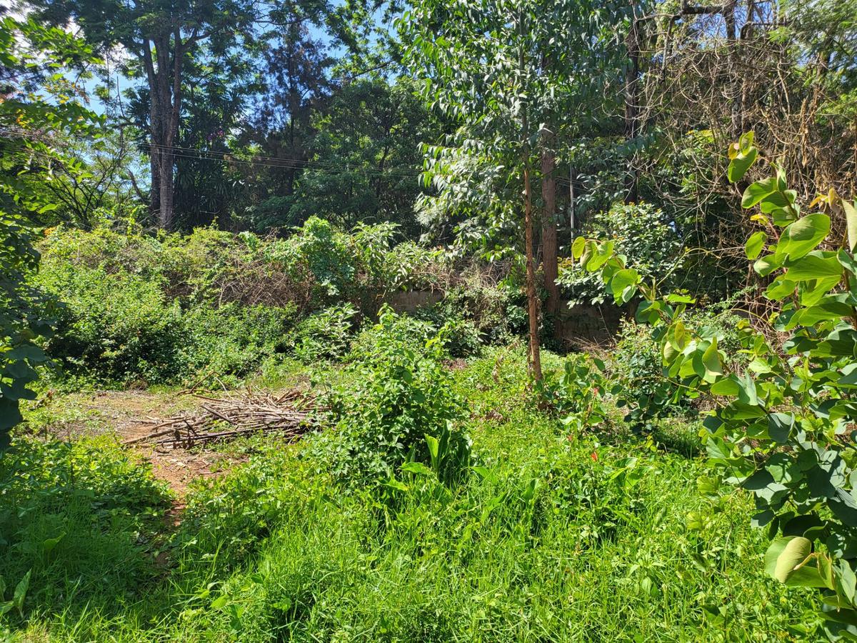 Commercial Land at Lower Kabete - 20