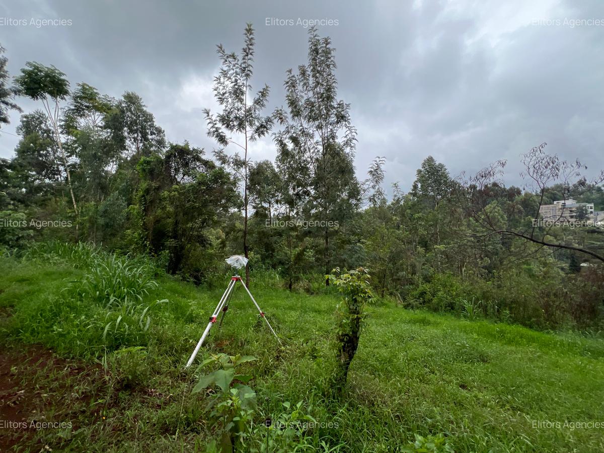 0.42 ac Residential Land at Kirawa Road - 12