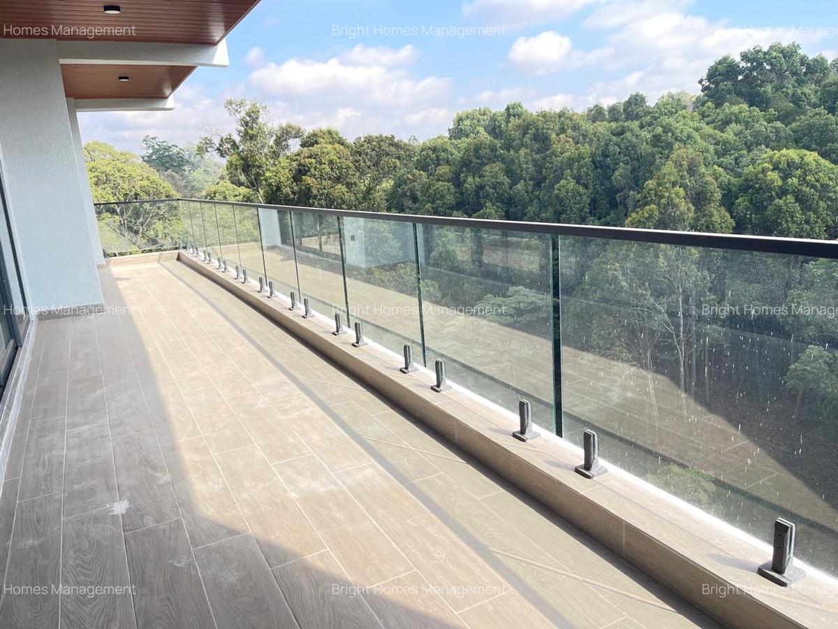 4 Bed Apartment with En Suite in Spring Valley - 6
