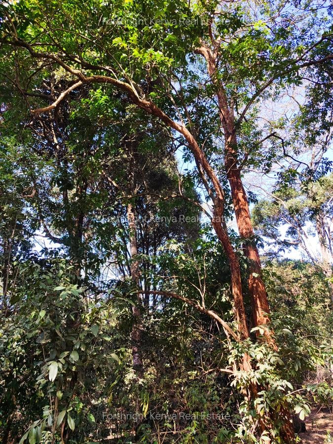 0.5 ac Land at Hardy - 15