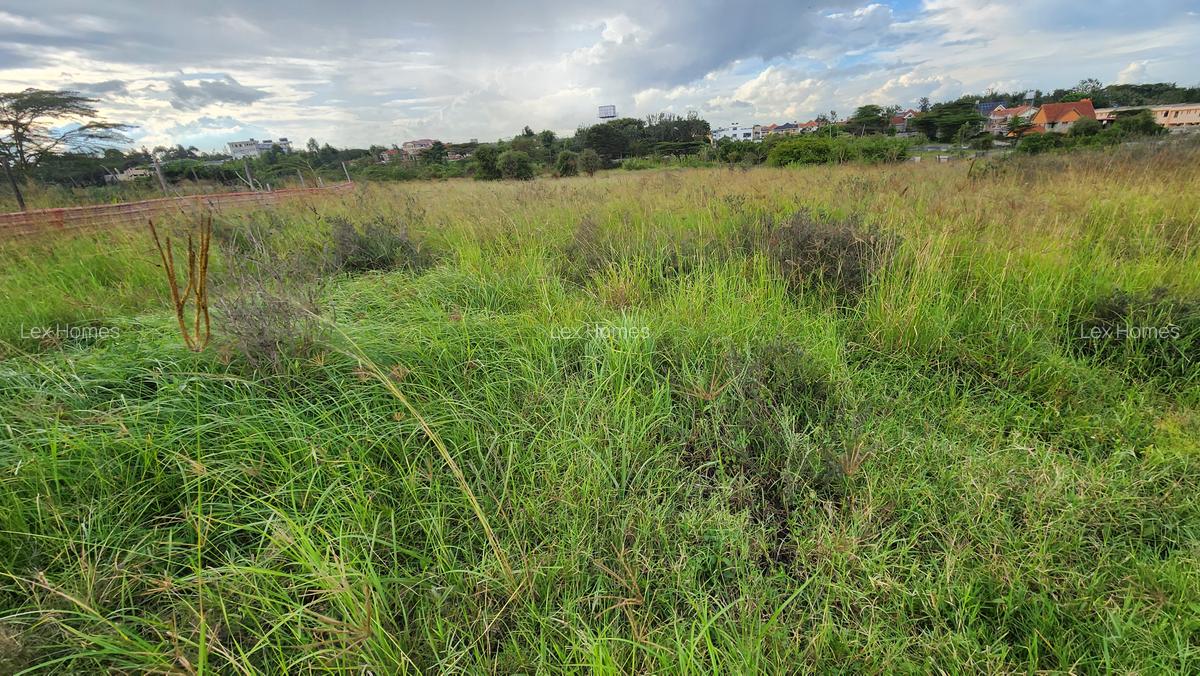 0.4 ha Land at Masai Lodge - 8